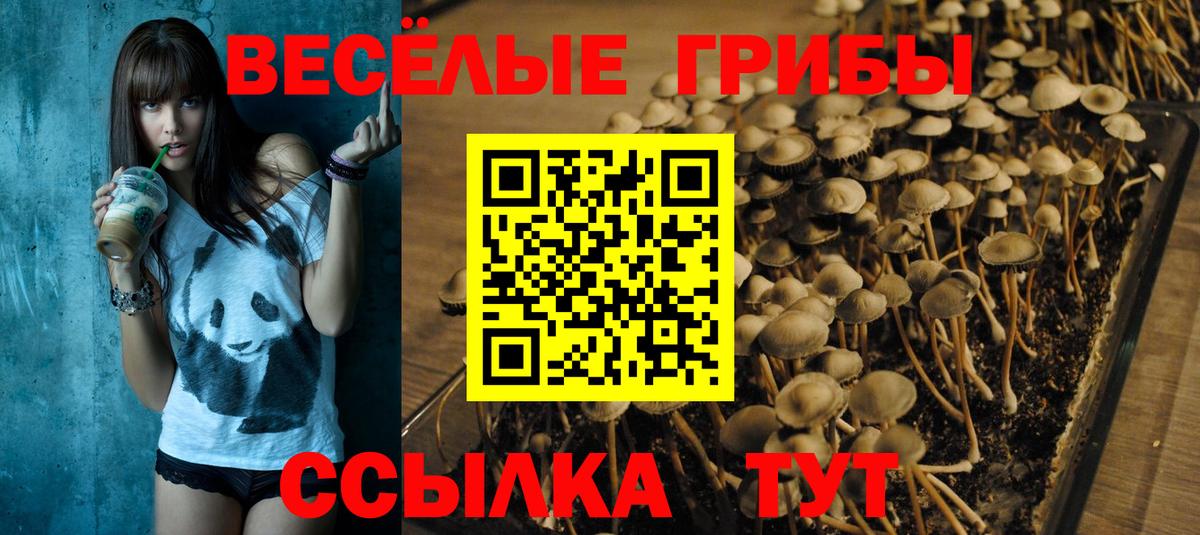 Псилоцибиновые грибы мухоморы  Вход с VPN  хочу наркоту  Сургут 